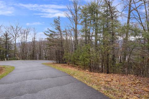 tbd Seminole Drive Mountain City Tn 37683, Mountain City, TN 37683