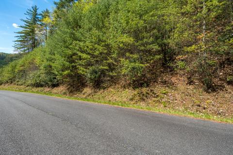 lot9 Callalantee Drive Mountain City Tn 37683, Mountain City, TN 37683