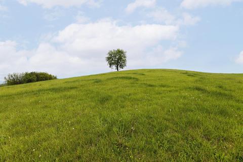 177 Tom Lewis Road Limestone Tn 37681, Limestone, TN 37681