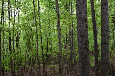 995 Whistle Valley Road New Tazewell Tn 37825, New Tazewell, TN 37825