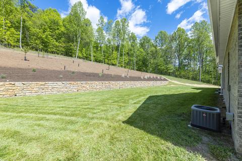 531 Frog Level Road Gray Tn 37615, Gray, TN 37615 photo 6
