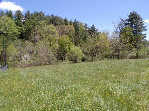 tbd D Reece Road Mountain City Tn 37683, Mountain City, TN 37683