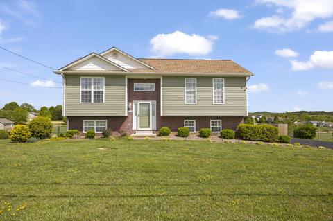 1234 Bowmantown Road Limestone Tn 37681, Limestone, TN 37681 photo 1