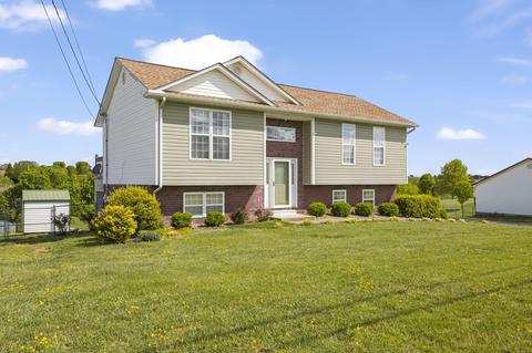 1234 Bowmantown Road Limestone Tn 37681, Limestone, TN 37681 photo 38