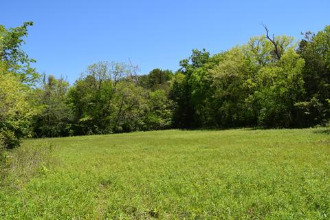 44 Acres Rocky Valley Road New Market Tn 37820, New Market, TN 37820