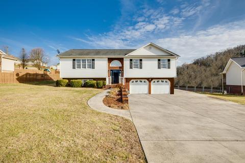 507 Meadow Lark Court Mount Carmel Tn 37645, Mount Carmel, TN 37645