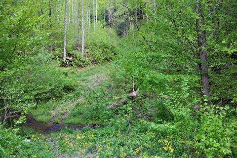 000 Fall Branch Road Mountain City Tn 37683, Mountain City, TN 37683
