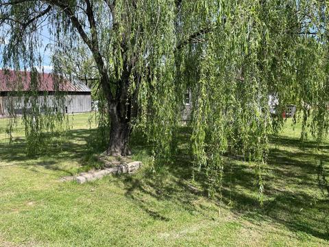 1907 E Millard Street Johnson City Tn 37601, Johnson City, TN 37601 photo 25