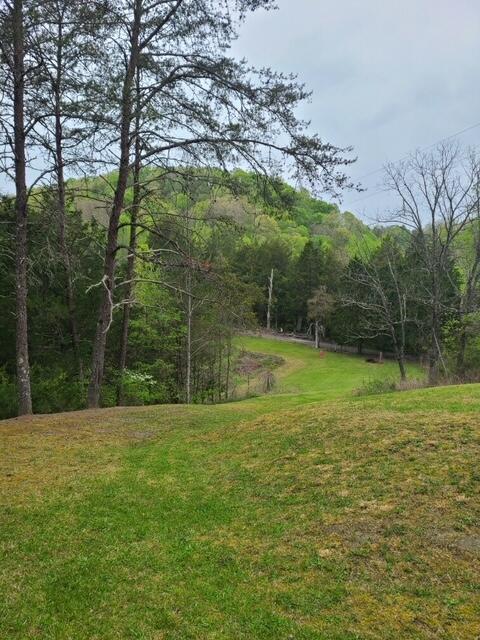 0 Cw Lane Thorn Hill Tn 37881, Thorn Hill, TN 37881