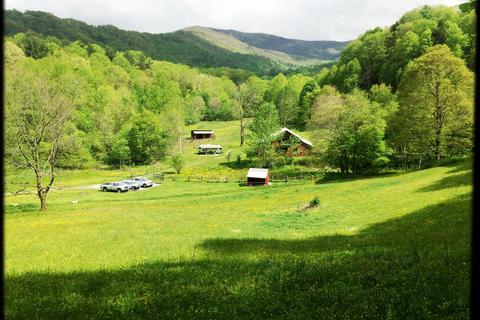 286 Heaton Ridge Road Roan Mountain Tn 37687, Roan Mountain, TN 37687