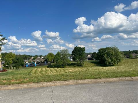 221 Forest Court Blountville Tn 37617, Blountville, TN 37617