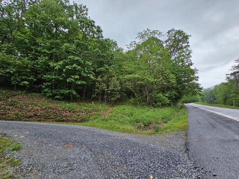 tbd Left Higgins Creek Road Flag Pond Tn 37657, Flag Pond, TN 37657