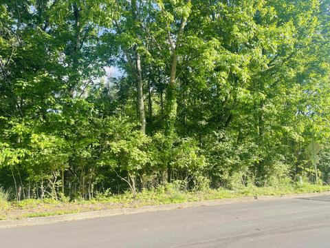 43 Summerfield Drive Piney Flats Tn 37686, Piney Flats, TN 37686