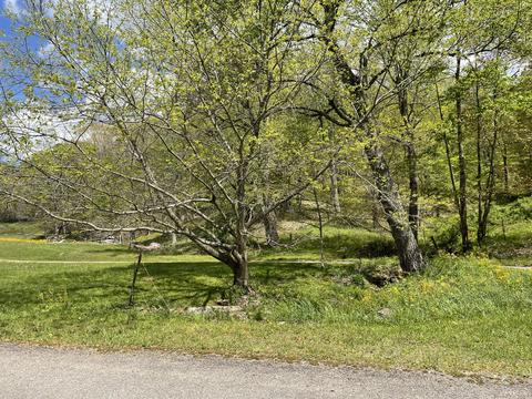 10 05 Ac Greer Road Trade Tn 37691, Trade, TN 37691