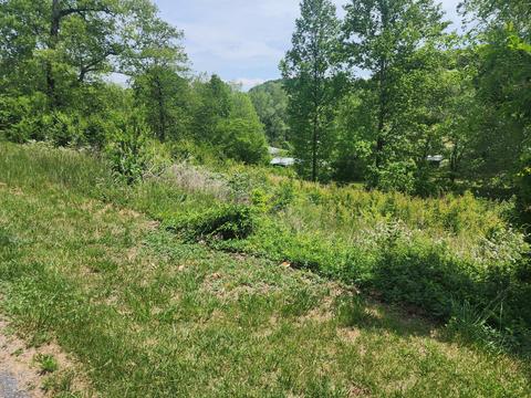 5809 Pocahontas Drive Kingsport Tn 37664, Kingsport, TN 37664