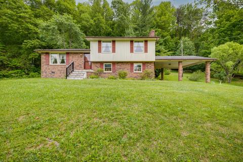 313 Seneker Lane Blountville Tn 37617, Blountville, TN 37617