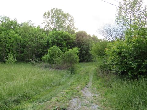 229 Chandler Drive Ewing Va 24248, Ewing, VA 24248 photo 16
