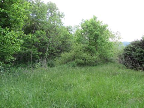 229 Chandler Drive Ewing Va 24248, Ewing, VA 24248 photo 11
