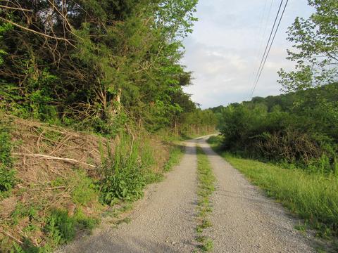 229 Chandler Drive Ewing Va 24248, Ewing, VA 24248 photo 5