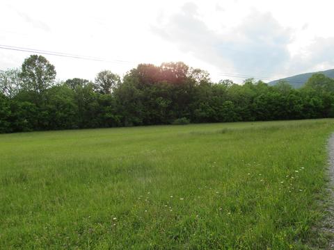 229 Chandler Drive Ewing Va 24248, Ewing, VA 24248 photo 6