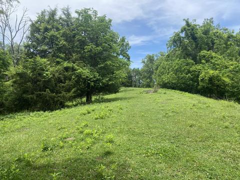 159 Murphy Private Drive Watauga Tn 37694, Watauga, TN 37694 photo 38