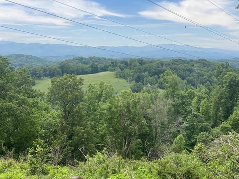 159 Murphy Private Drive Watauga Tn 37694, Watauga, TN 37694 photo 37