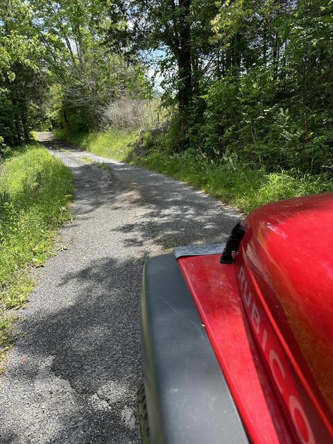 00 Youngstock Rd 11 Acres Eidson Tn 37731, Eidson, TN 37731