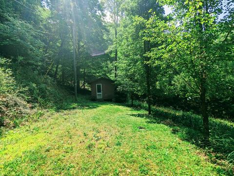 150 Lone Star Road Birchleaf Va 24220, Birchleaf, VA 24220 photo 8
