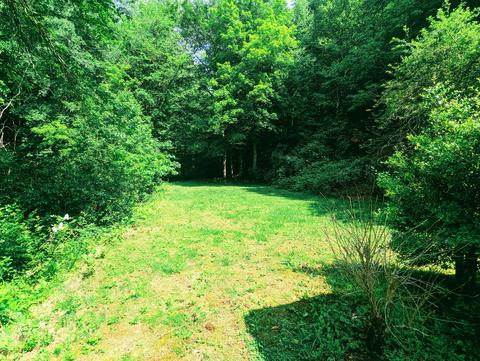 150 Lone Star Road Birchleaf Va 24220, Birchleaf, VA 24220 photo 10