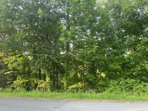 0 Ski View Lane Sevierville Tn 37876, Sevierville, TN 37876