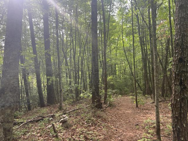 0 John Glover Road Hampton Tn 37658, Hampton, TN 37658