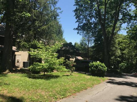 115 Beechnut Street E3 Johnson City Tn 37601, Johnson City, TN 37601 photo 20