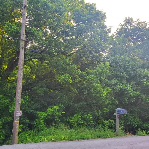 1316 Bell Ridge Drive Kingsport Tn 37665, Kingsport, TN 37665