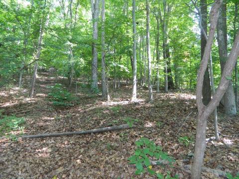 0 Robin Court Kingsport Tn 37664, Kingsport, TN 37664