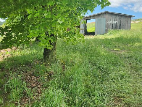 225 Morrison Road Chuckey Tn 37641, Chuckey, TN 37641 photo 3