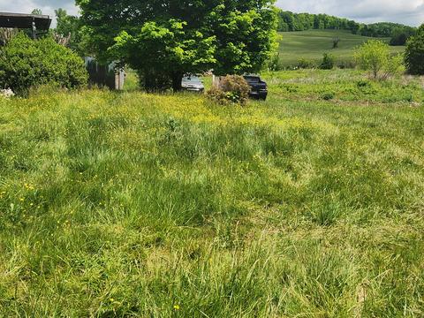 225 Morrison Road Chuckey Tn 37641, Chuckey, TN 37641 photo 12