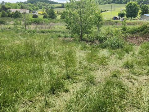 225 Morrison Road Chuckey Tn 37641, Chuckey, TN 37641 photo 10