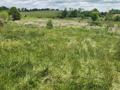 225 Morrison Road Chuckey Tn 37641, Chuckey, TN 37641 photo 11