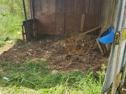 225 Morrison Road Chuckey Tn 37641, Chuckey, TN 37641 photo 13