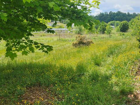 225 Morrison Road Chuckey Tn 37641, Chuckey, TN 37641 photo 2