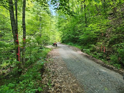 683 T Greer Road, Mountain City, TN 37683