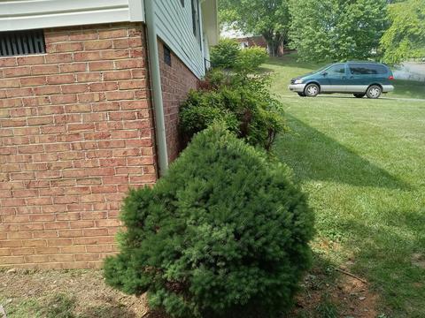 22088 Appleton Drive Bristol Va 24202, Bristol, VA 24202 photo 15