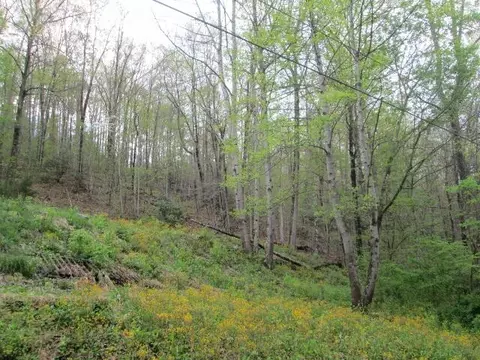 000 Southerland Branc Road Raven Va 24639, Raven, VA 24639