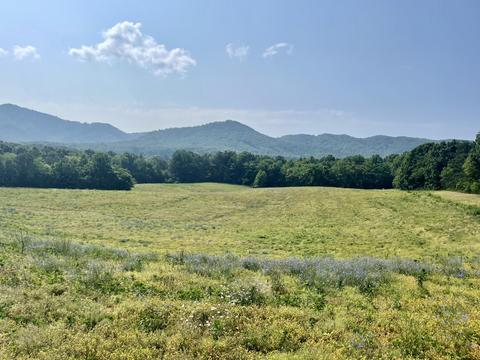 28 36 Acre Olivet Mtn Rd Greeneville Tn 37743, Greeneville, TN 37743