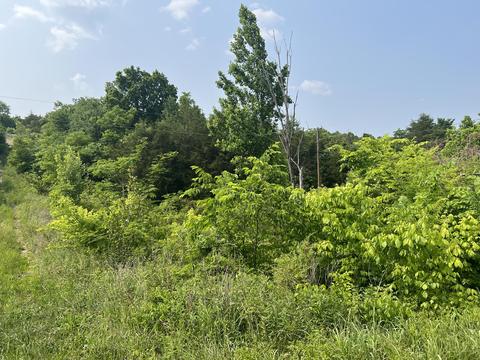 0 Little Warrensburg Road Midway Tn 37809, Midway, TN 37809