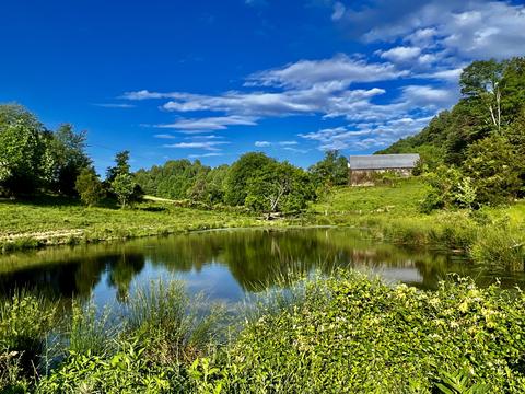 1179 Big Hill Road Mooresburg Tn 37811, Mooresburg, TN 37811