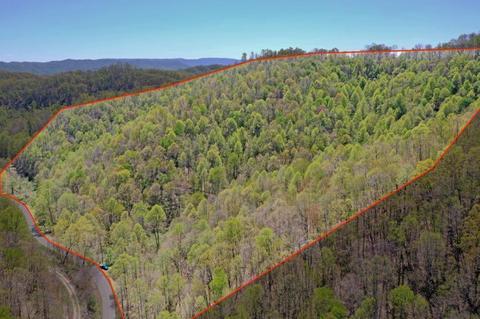 lot9 Panther Branch Road Cedar Bluff Va 24609, Cedar Bluff, VA 24609