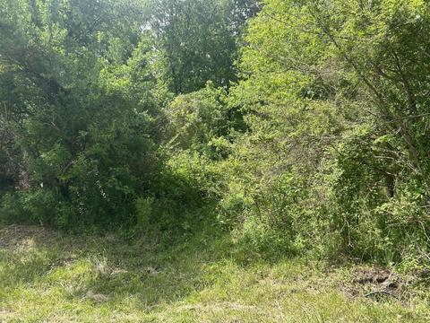 675 Stout Road Mountain City Tn 37683, Mountain City, TN 37683