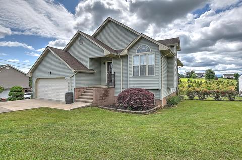 2084 Buttercup Lane Limestone Tn 37681, Limestone, TN 37681 photo 43