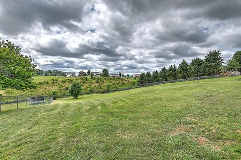 2084 Buttercup Lane Limestone Tn 37681, Limestone, TN 37681 photo 37